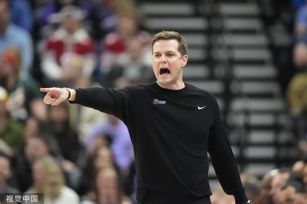 天津津门虎 天津津门虎